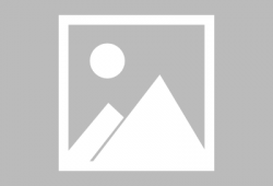 娱乐圈吃瓜人名