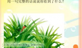 精品国产小青蛙,萌动心弦的绿色精灵之旅